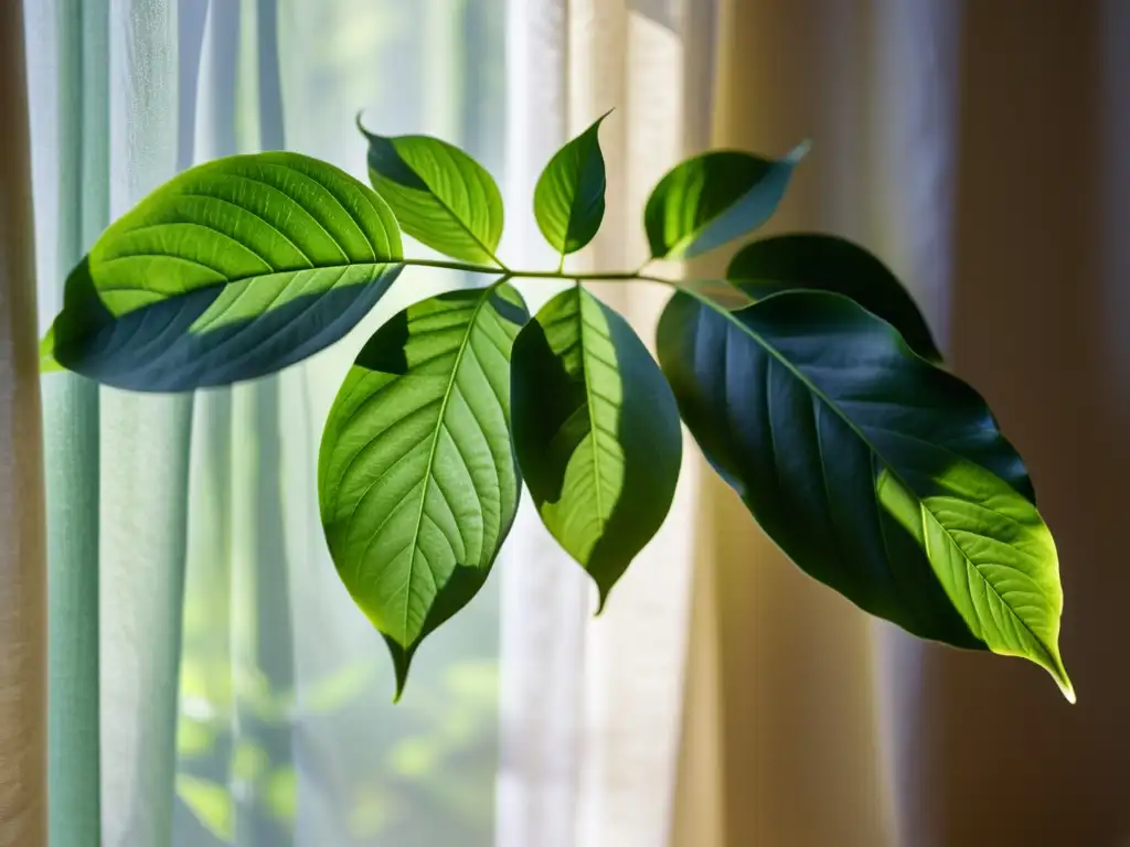 Un ambiente sereno e íntimo, donde una exuberante planta verde se baña en la suave luz natural