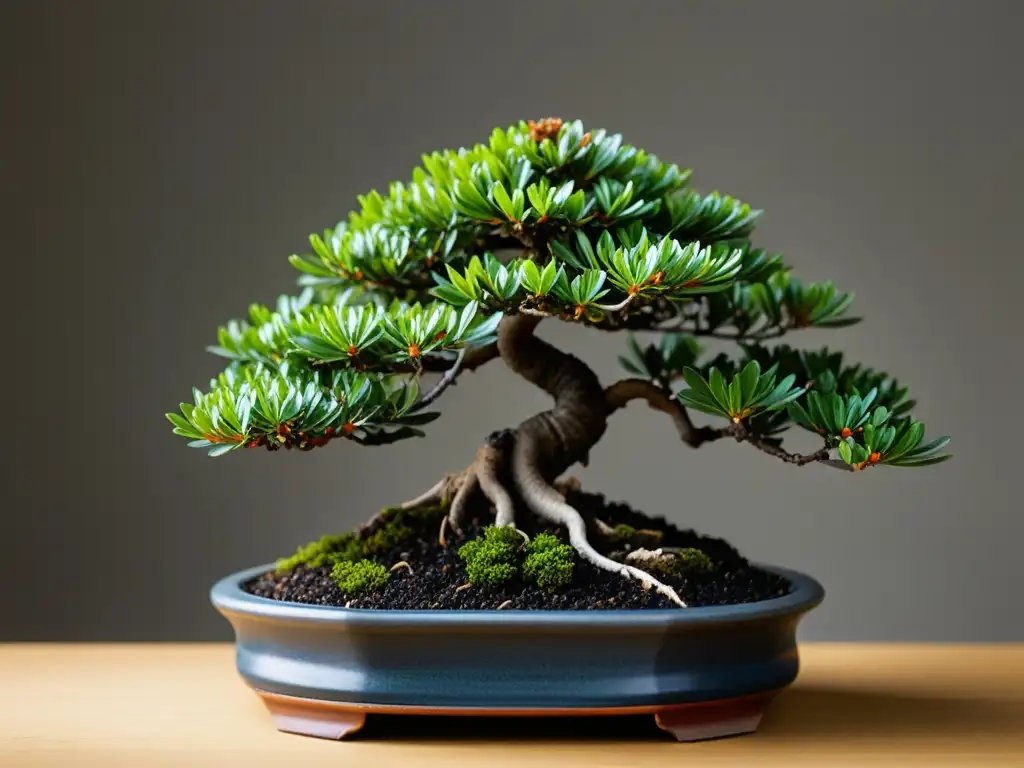 Bonsái zen: arte en miniatura Closeup de un bonsái meticulosamente cuidado, evocando tranquilidad y perfección