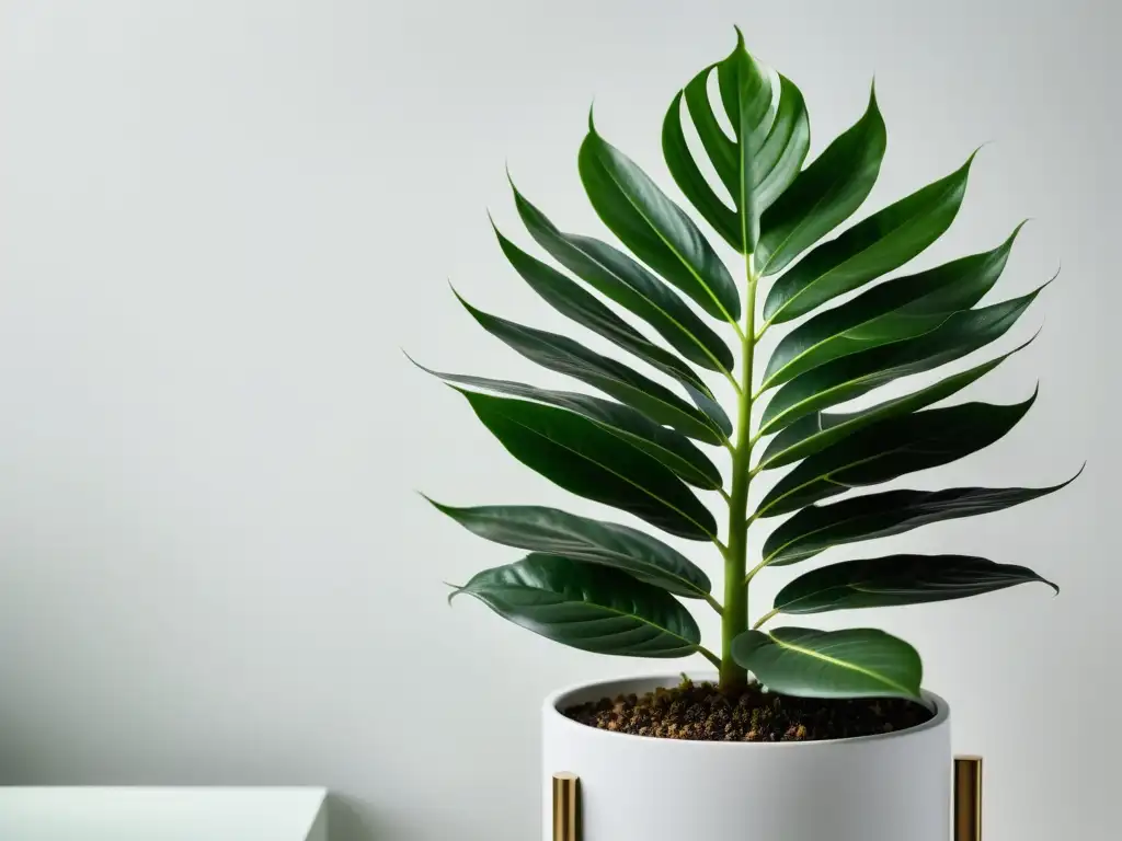 Un close-up de una exuberante planta de interior en un soporte moderno, evocando calidez y tranquilidad