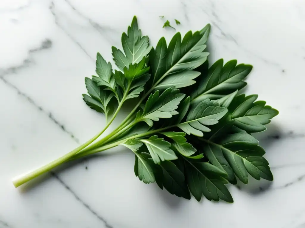 Una composición fresca y pura de hojas de perejil en mármol blanco, con luz natural suave