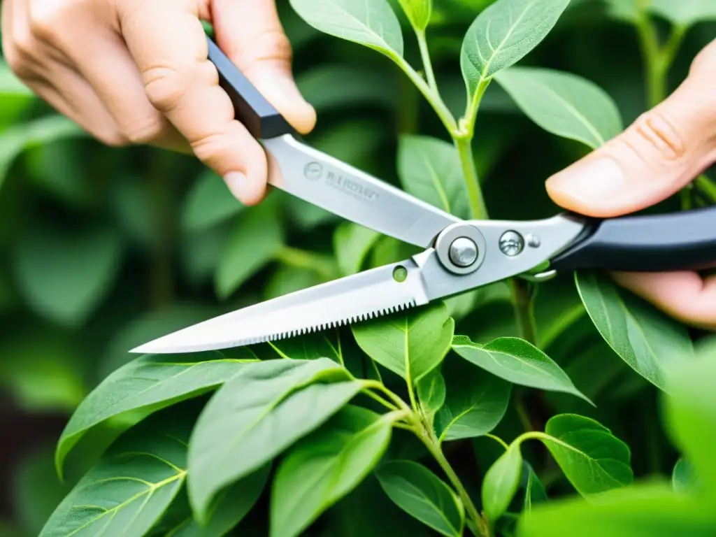 Consejos para la poda preventiva de plantas de interior: podadoras cortando con precisión una planta, mostrando cuidado y expertise en mantenimiento