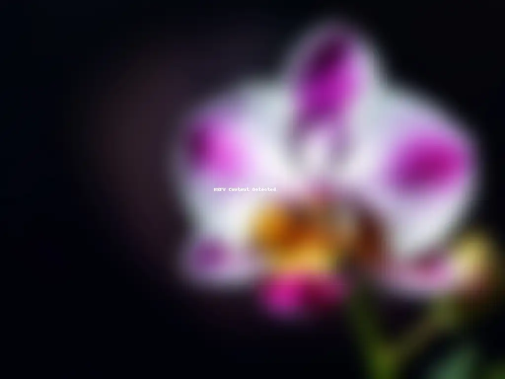 Detallada imagen de una orquídea rara en tonos de rosa, morado y blanco sobre fondo oscuro, resaltando sus formas únicas