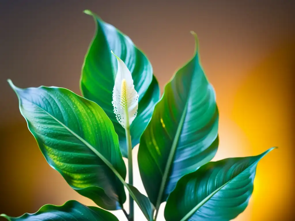 Un detalle exquisito de una planta de interior bañada en cálida luz LED, mostrando la vida vegetal en iluminación artificial