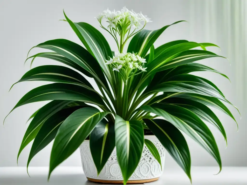 Detalle de una exuberante planta araña verde con flores blancas, resaltando su belleza natural y sus beneficios para purificar el aire en interiores