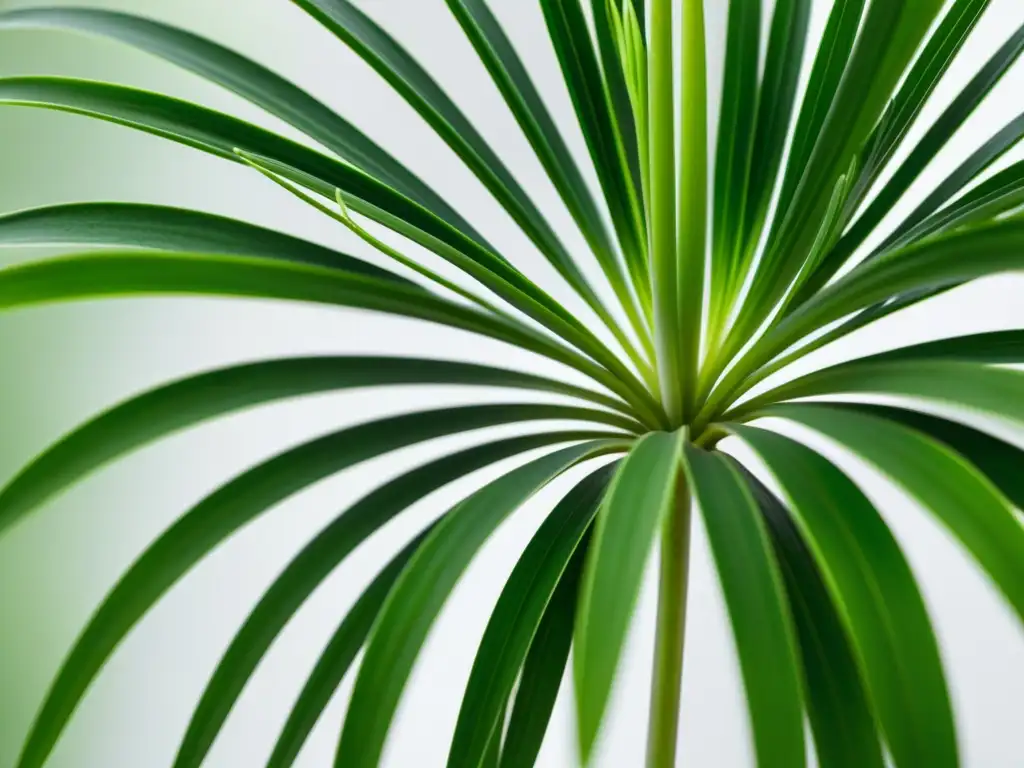 Detalle impresionante de la planta de interior resistente al aire acondicionado, resaltando su belleza natural y su capacidad de prosperar