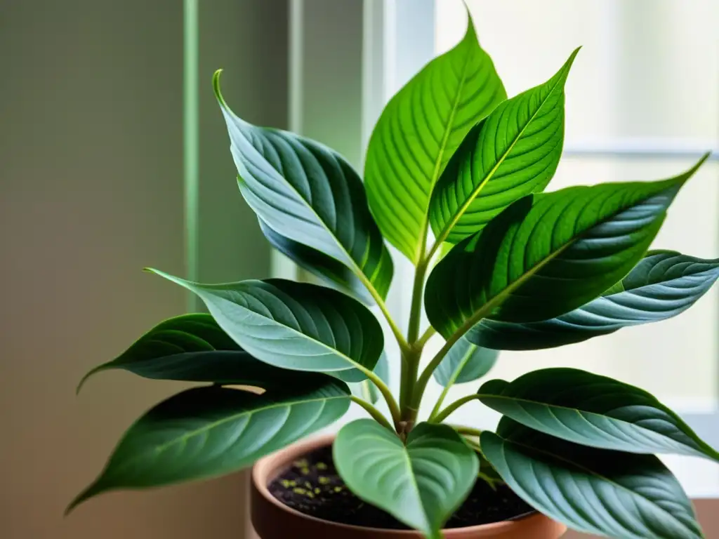 Detalle de planta de interior con hojas verdes vibrantes y patrones intrincados, iluminada por luz natural