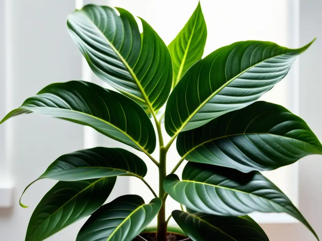 Detalles vibrantes de una planta de interior, evocando tranquilidad y elegancia natural