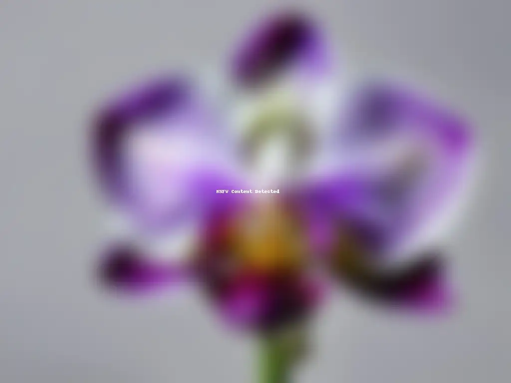 Diseño de interiores con orquídeas exóticas: Fotografía de alta resolución de una orquídea Phalaenopsis morada y blanca, con delicados patrones en los pétalos, resaltando su belleza y encanto