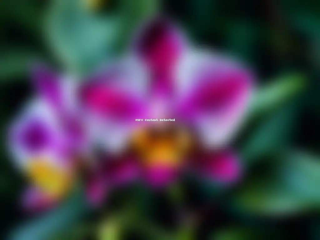 Orquídea misteriosa: una danza de colores y formas Exótica orquídea de colores vibrantes, con pétalos delicados en tonos morados, fucsias y magentas, sobre hojas verdes
