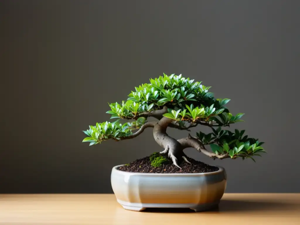 Una exuberante planta de bonsái en una elegante maceta, reflejando armonía y cuidado