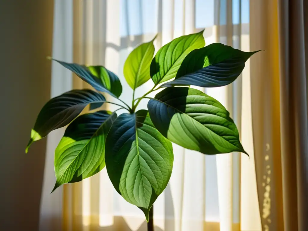 Una exuberante planta de interior con detalladas hojas verdes, iluminada por suave luz indirecta