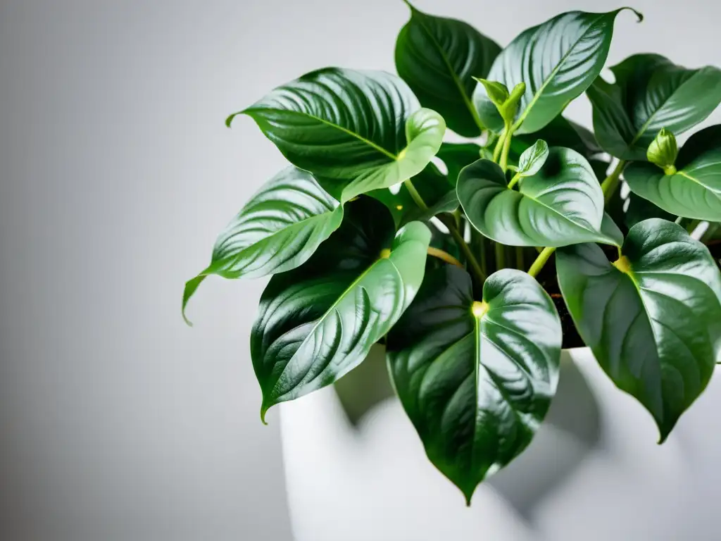 Una exuberante planta de pothos en un moderno jardín vertical blanco