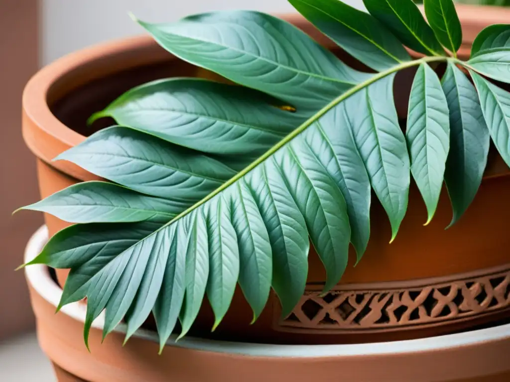 Una imagen de una exquisita maceta de terracota con plantas exuberantes, en un ambiente sereno, que refleja el cuidado de plantas de interior