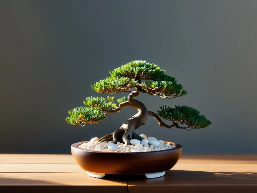 Imagen zen de un bonsái perfectamente podado en una mesa de madera