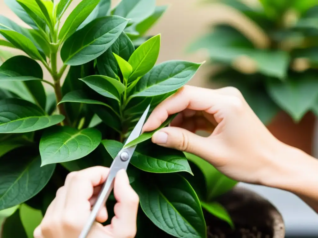 Un par de manos expertas podando con precisión las hojas de una exuberante planta de interior con tijeras pequeñas