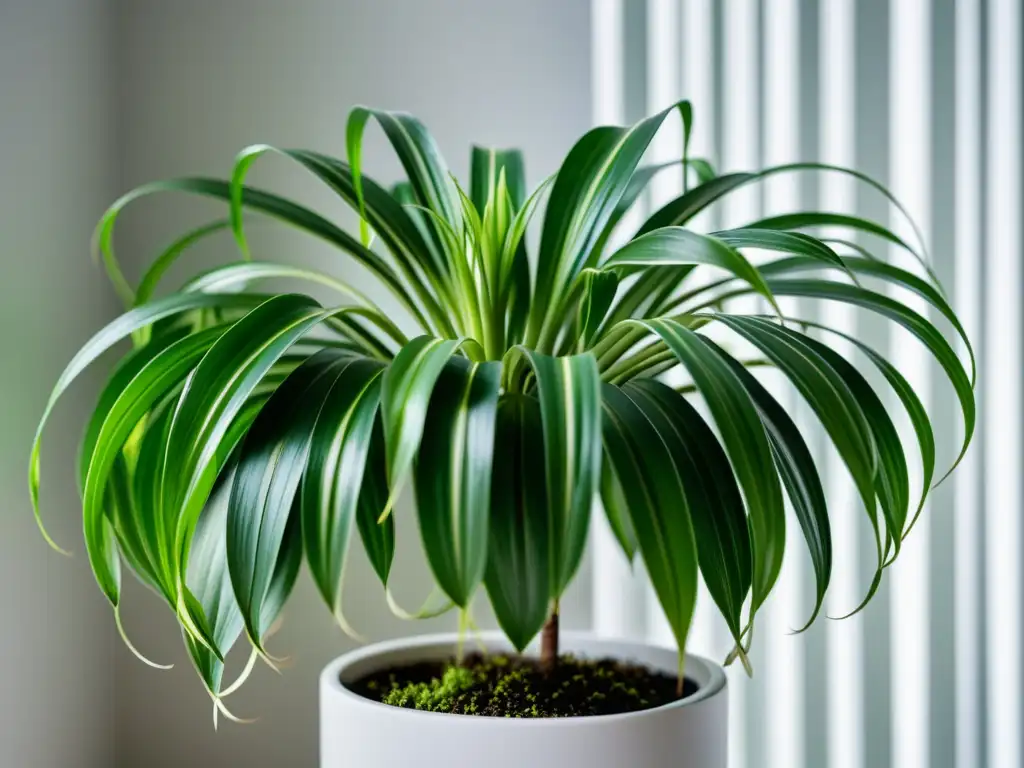 Una planta de interior llena de vida en una maceta blanca moderna, destacando sus cualidades de ahorro de energía