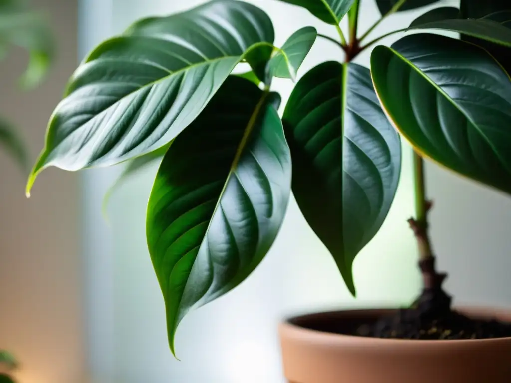 Iluminación para plantas de interior: Una planta exuberante y verde es iluminada suavemente, creando un ambiente tranquilo y acogedor