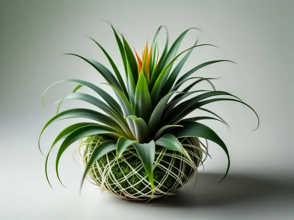 Vibrante planta aérea sana con hojas verdes, patrones intrincados y texturas